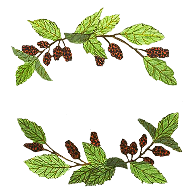 Mulberry Meadow Farms